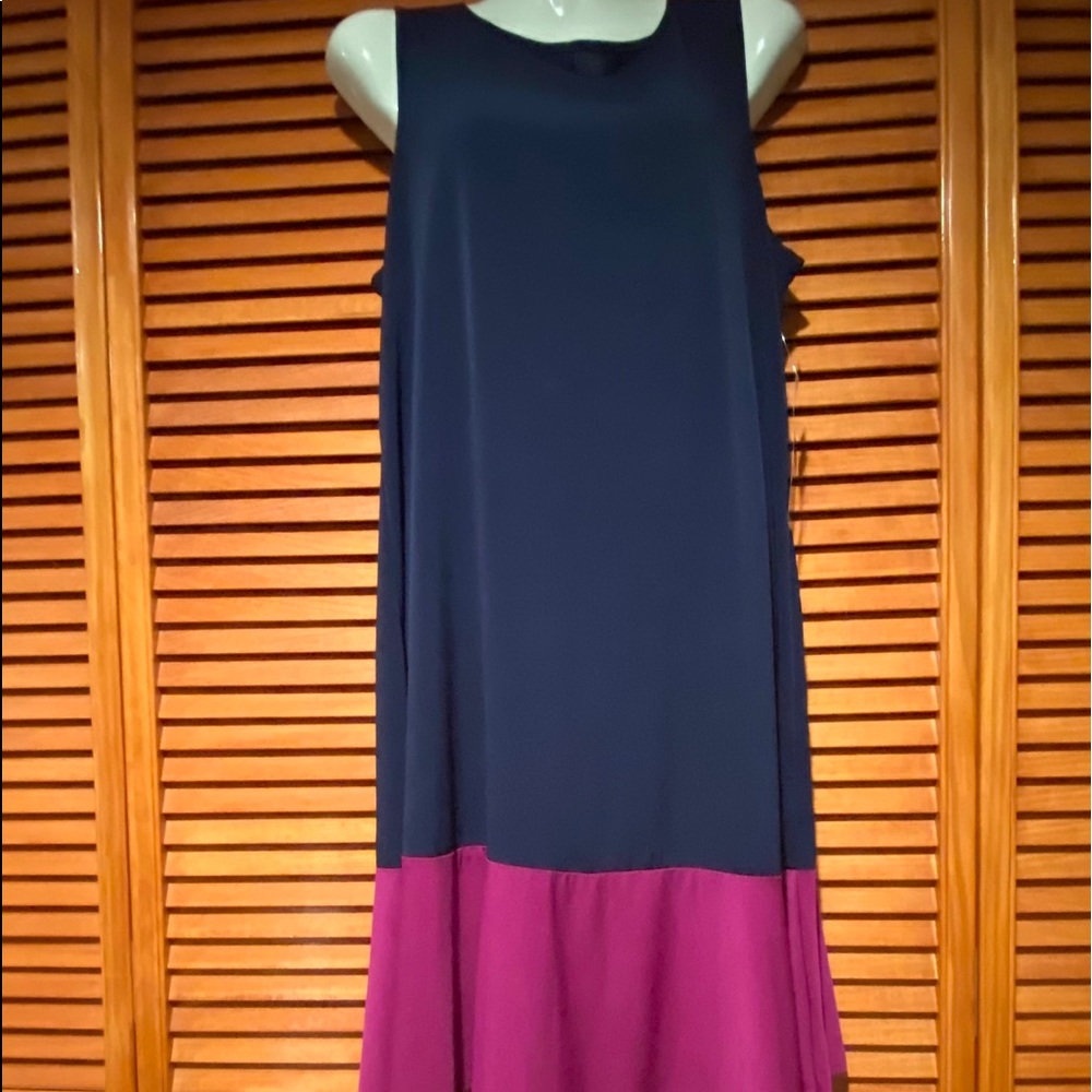 NWT Navy dress with deep pink bottom